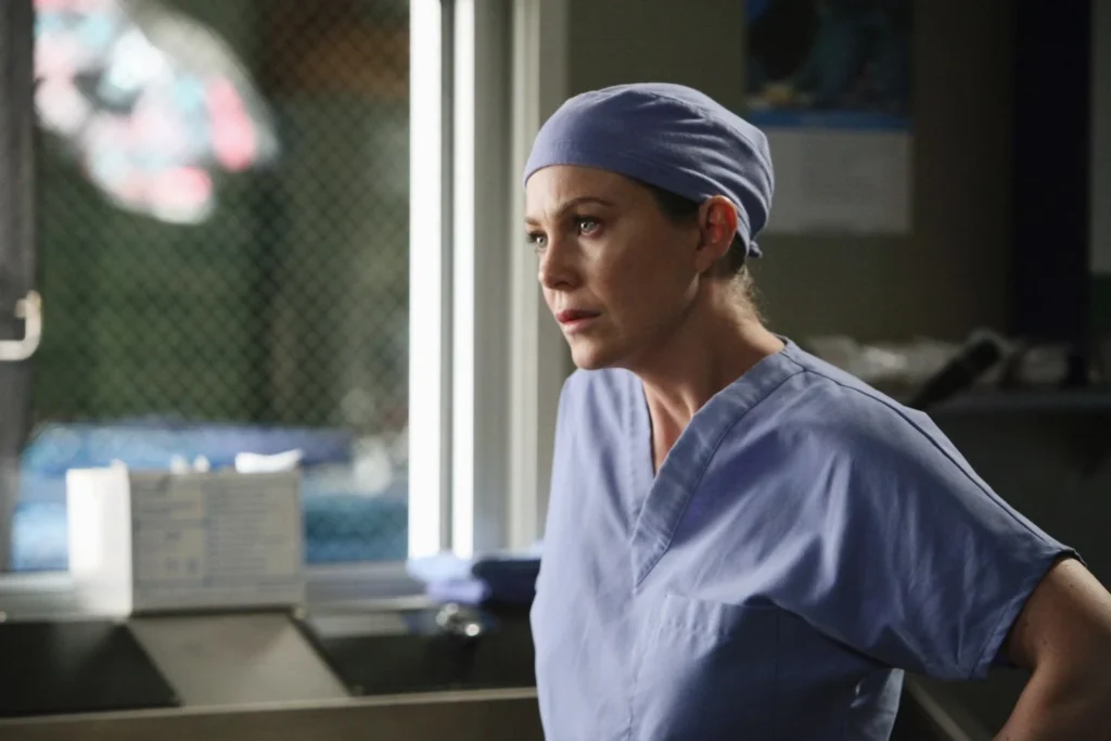 Sanctuary and Death And All His Friends - Grey’s Anatomy Episodes