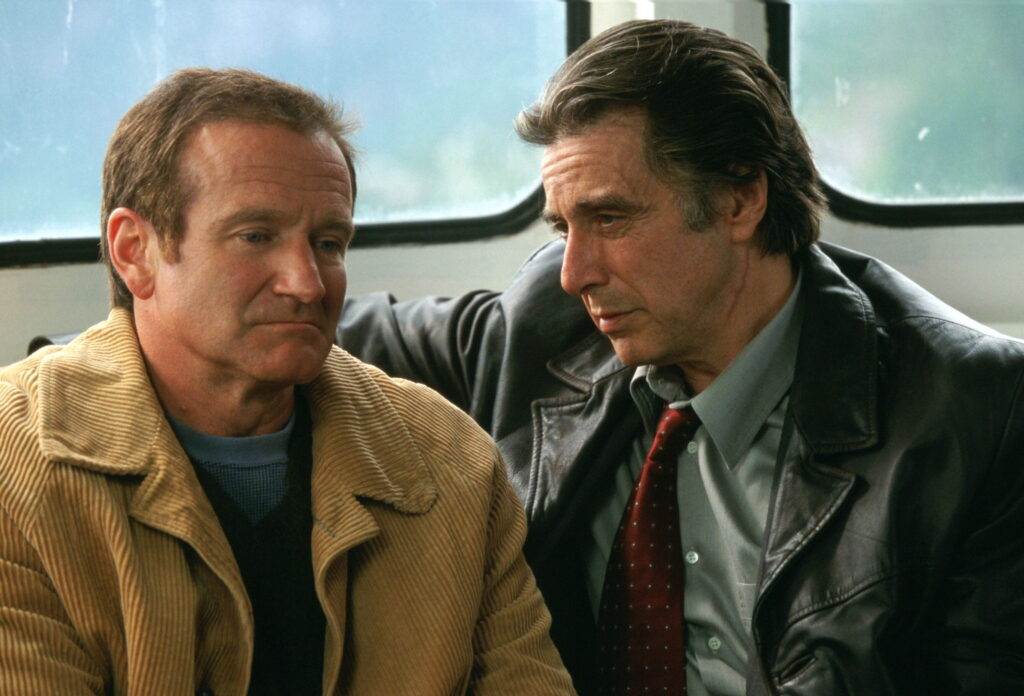 Insomnia - Robin Williams Movies