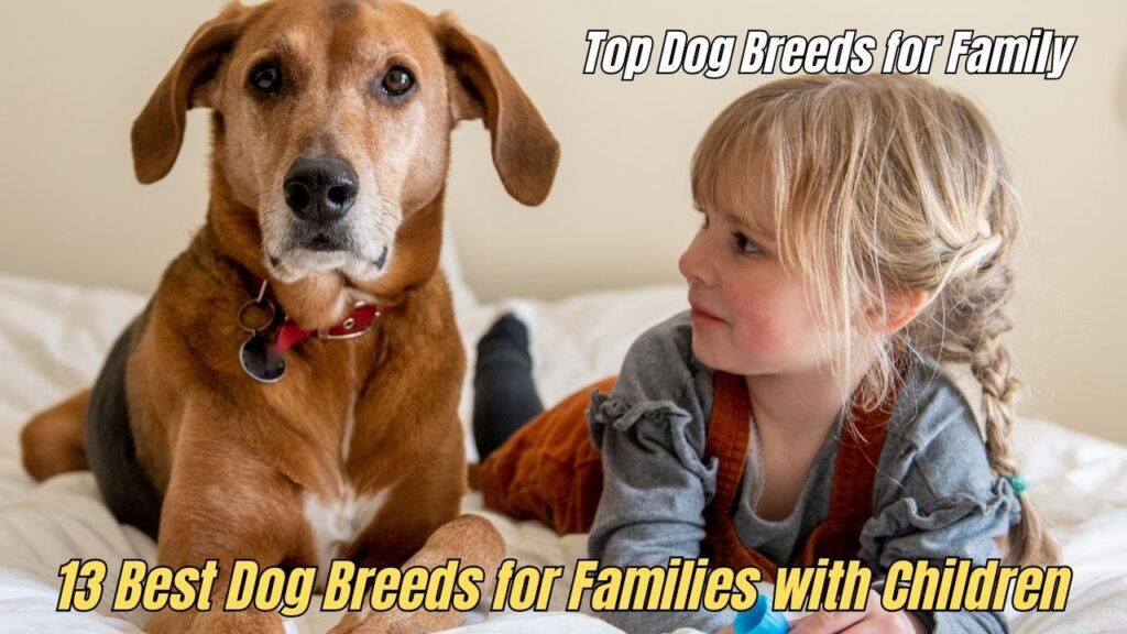 13 Dog Breeds Best Suited for Families and Children